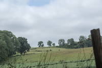 img49